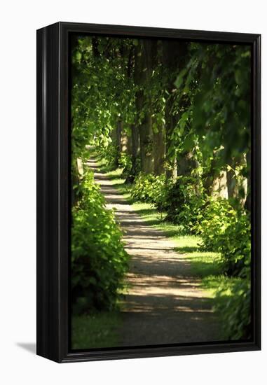 Schleswig-Holstein, Sieseby, Path Through Old Cemetery-Catharina Lux-Framed Premier Image Canvas