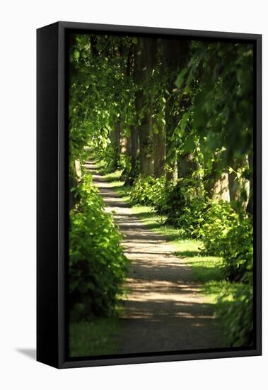 Schleswig-Holstein, Sieseby, Path Through Old Cemetery-Catharina Lux-Framed Premier Image Canvas