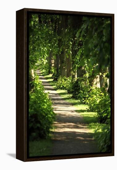 Schleswig-Holstein, Sieseby, Path Through Old Cemetery-Catharina Lux-Framed Premier Image Canvas