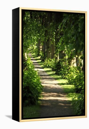 Schleswig-Holstein, Sieseby, Path Through Old Cemetery-Catharina Lux-Framed Premier Image Canvas