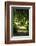 Schleswig-Holstein, Sieseby, Path Through Old Cemetery-Catharina Lux-Framed Photographic Print