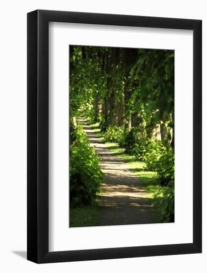 Schleswig-Holstein, Sieseby, Path Through Old Cemetery-Catharina Lux-Framed Photographic Print