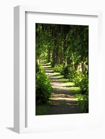 Schleswig-Holstein, Sieseby, Path Through Old Cemetery-Catharina Lux-Framed Photographic Print