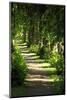 Schleswig-Holstein, Sieseby, Path Through Old Cemetery-Catharina Lux-Mounted Photographic Print