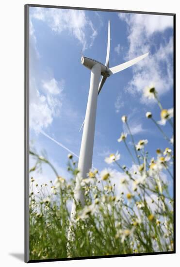 Schleswig-Holstein, Wind Turbine, Nature, Wind Power-Catharina Lux-Mounted Photographic Print