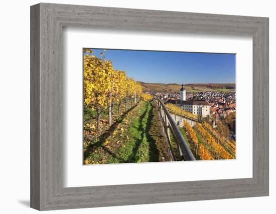 Schloss Horneck Palace on the Neckar River, Gundelsheim, Baden-Wurttemberg, Germany, Europe-Markus Lange-Framed Photographic Print