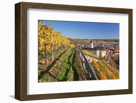 Schloss Horneck Palace on the Neckar River, Gundelsheim, Baden-Wurttemberg, Germany, Europe-Markus Lange-Framed Photographic Print