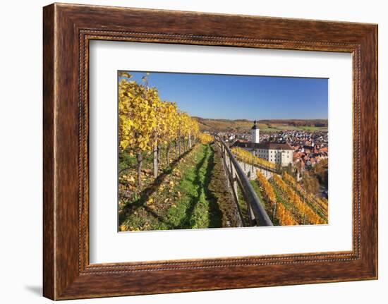 Schloss Horneck Palace on the Neckar River, Gundelsheim, Baden-Wurttemberg, Germany, Europe-Markus Lange-Framed Photographic Print