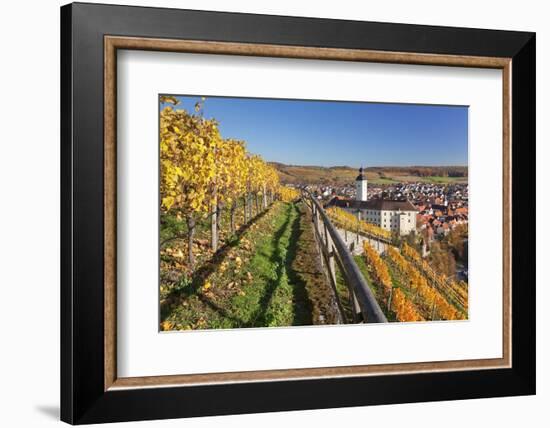 Schloss Horneck Palace on the Neckar River, Gundelsheim, Baden-Wurttemberg, Germany, Europe-Markus Lange-Framed Photographic Print