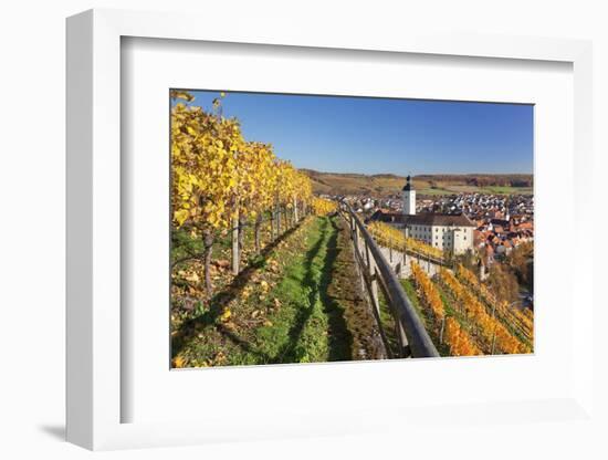 Schloss Horneck Palace on the Neckar River, Gundelsheim, Baden-Wurttemberg, Germany, Europe-Markus Lange-Framed Photographic Print