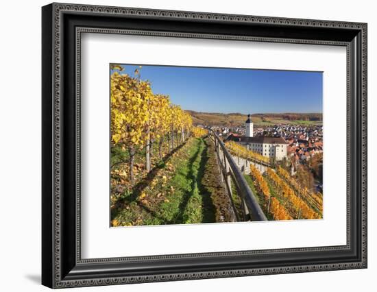 Schloss Horneck Palace on the Neckar River, Gundelsheim, Baden-Wurttemberg, Germany, Europe-Markus Lange-Framed Photographic Print