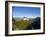 Schloss Neuschwanstein, Bavaria (Bayern), Germany-Gary Cook-Framed Photographic Print