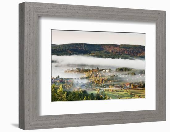 Schluchsee, Black Forest, Baden-Wurttemberg, Germany-Markus Lange-Framed Photographic Print
