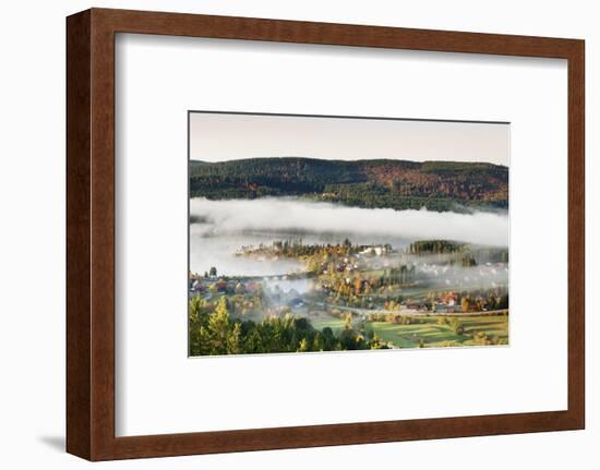 Schluchsee, Black Forest, Baden-Wurttemberg, Germany-Markus Lange-Framed Photographic Print