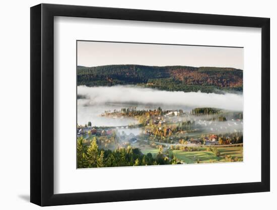 Schluchsee, Black Forest, Baden-Wurttemberg, Germany-Markus Lange-Framed Photographic Print