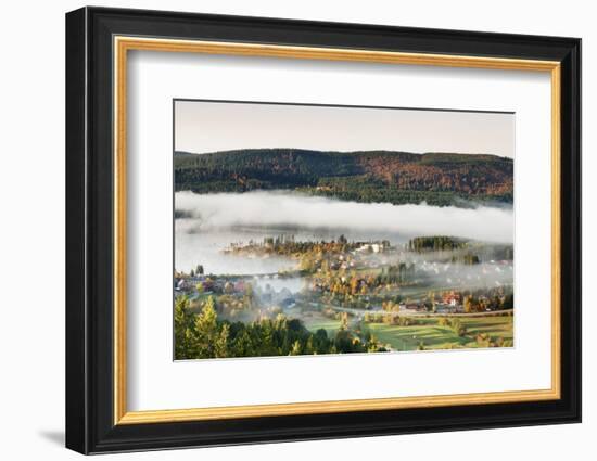 Schluchsee, Black Forest, Baden-Wurttemberg, Germany-Markus Lange-Framed Photographic Print