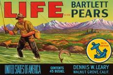 Life Brand Bartlett Pears-Schmidt Lithograph Co-Framed Stretched Canvas