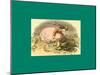 Schnaken and Schnurren-Wilhelm Busch-Mounted Giclee Print