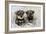 Schnauzer Puppies Sitting in Paper Shreddings-null-Framed Photographic Print