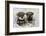 Schnauzer Puppies Sitting in Paper Shreddings-null-Framed Photographic Print