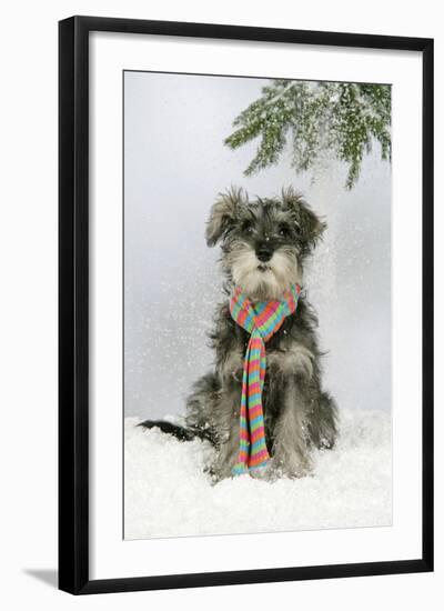 Photographic Print, , large
