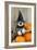 Schnauzer Puppy Looking over Broom Wearing Witches Hat-null-Framed Photographic Print