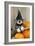 Schnauzer Puppy Looking over Broom Wearing Witches Hat-null-Framed Photographic Print