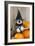 Schnauzer Puppy Looking over Broom Wearing Witches Hat-null-Framed Photographic Print