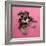 Schnauzer Puppy Wearing Pink Glasses-null-Framed Photographic Print