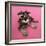 Schnauzer Puppy Wearing Pink Glasses-null-Framed Photographic Print