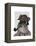 Schnauzer Sherlock-Fab Funky-Framed Stretched Canvas