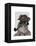 Schnauzer Sherlock-Fab Funky-Framed Stretched Canvas