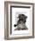 Schnauzer Sherlock-Fab Funky-Framed Art Print