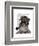 Schnauzer Sherlock-Fab Funky-Framed Art Print