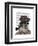 Schnauzer Sherlock-Fab Funky-Framed Art Print