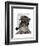 Schnauzer Sherlock-Fab Funky-Framed Art Print