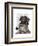 Schnauzer Sherlock-Fab Funky-Framed Art Print