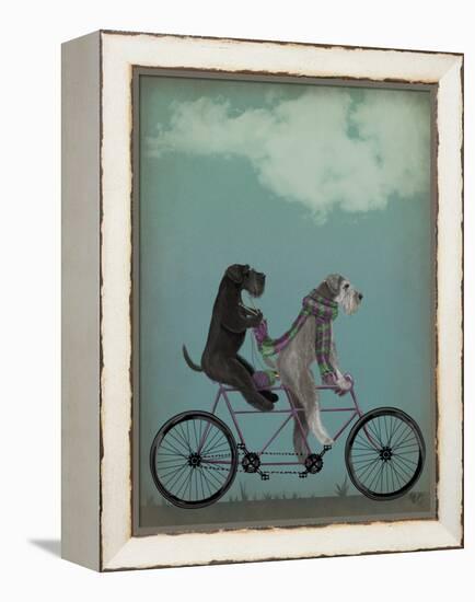 Schnauzer Tandem-Fab Funky-Framed Stretched Canvas