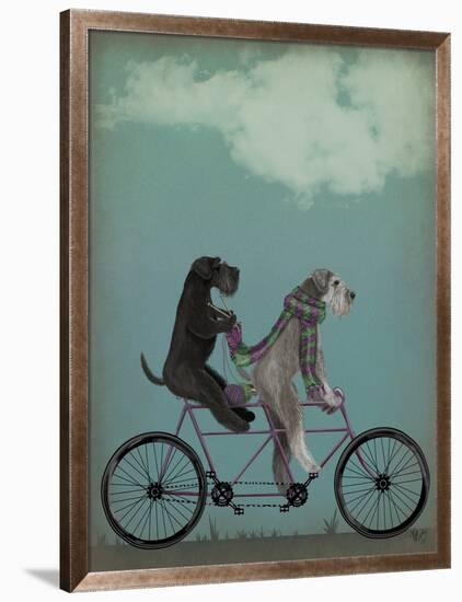 Schnauzer Tandem-Fab Funky-Framed Art Print