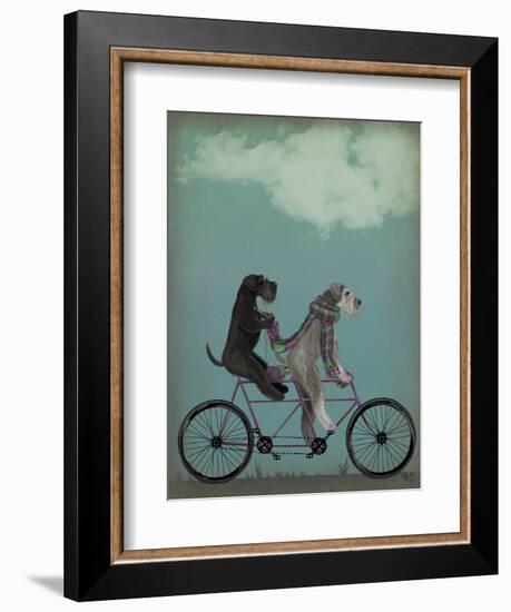 Schnauzer Tandem-Fab Funky-Framed Premium Giclee Print