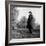 Scholar C.S. Lewis Standing in Open Field; Nr. Magdalen College, Oxford University-null-Framed Photographic Print