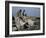 Schonbrunn Palace, Unesco World Heritage Site, Near Vienna, Austria-Julia Thorne-Framed Photographic Print