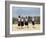 School Children, Cuilapan, Oaxaca, Mexico, North America-R H Productions-Framed Photographic Print