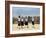 School Children, Cuilapan, Oaxaca, Mexico, North America-R H Productions-Framed Photographic Print