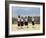 School Children, Cuilapan, Oaxaca, Mexico, North America-R H Productions-Framed Photographic Print