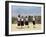 School Children, Cuilapan, Oaxaca, Mexico, North America-R H Productions-Framed Photographic Print