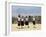 School Children, Cuilapan, Oaxaca, Mexico, North America-R H Productions-Framed Photographic Print