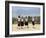 School Children, Cuilapan, Oaxaca, Mexico, North America-R H Productions-Framed Photographic Print