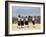 School Children, Cuilapan, Oaxaca, Mexico, North America-R H Productions-Framed Photographic Print