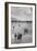 School Children-Ansel Adams-Framed Premium Giclee Print